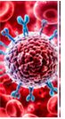 Respiratory Infections